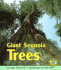 Giant Sequoia Trees (Early Bird Nature Books)
