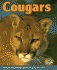 Cougars