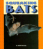 Squeaking Bats (Pull Ahead Books)