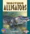 Waiting Alligators (Pull Ahead Books-Animals)