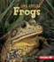 Frogs (First Step Nonfiction Animal Life Cycles)