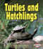 Turtles and Hatchlings (First Step Nonfiction-Animal Families)