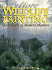 More Wildlife Painting: Techniques of Modern Masters