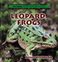 Leopard Frogs