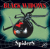 Black Widows (Spiders Discovery Library)