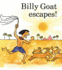 Billy Goat Escapes
