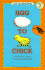 Egg to Chick