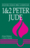 1 & 2 Peter, Jude: Believers Church Bible Commentary (Believers Church Bible Commentary Series)