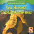 Sea Horses/Caballitos De Mar (Animals That Live in the Ocean/Animales Que Viven En El Oceano) (English and Spanish Edition)
