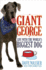Giant George: Life With the Worlds Biggest Dog