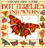 Butterflies and Moths (Usborne First Nature)