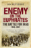 Enemy on the Euphrates: the Battle for Iraq, 1914-1921