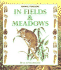 In Fields & Meadows (Animal Trackers Series)