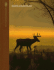 Whitetail Deer (the Complete Hunter)