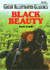 Black Beauty (Great Illustrated Classics )