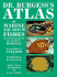 Dr Burgesss Atlas Marine Aqua