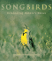 Songbirds: Celebrating Natures Voices
