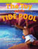 The Toy and the Tide Pool Stuffed Bunny Science Adventure Series