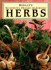 Herbs