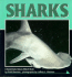 Sharks