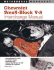 Chevrolet Small Block V8 Interchange Manual