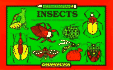 Insects