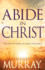 Abide in Christ: the Joy of Being in God's Presence