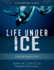 Life Under Ice 2nd Edition  Exploring Antarctic Seas