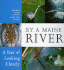 By a Maine River: A Year of Looking Closely