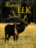 Majestic Elk: the Ultimate Tribute to North America's Greatest Game Aminal (Majestic Wildlife Library)