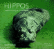 Hippos: Natural History & Conservation