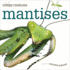 Creepy Creatures: Mantises