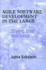 Agile Software Development in the Large: Diving Into the Deep