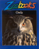 Owls (Zoobooks Series)