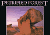 Petrified Forest (National Park, Az) (Postcard Books)