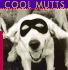 Cool Mutts