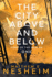 The City Above and Below: Song of the Weaver - Book One