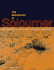 The Adventures of Sojourner: the Mission to Mars That Thrilled the World