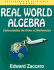 Real World Algebra: Understanding the Power of Mathematics