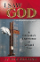I Saw God: in the Midst of Tragedy