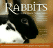 Rabbits: Gentle Hearts, Valiant Spirits: Inspirational Stories of Rescue, Triumph, and Joy