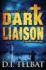 Dark Liaison: a Christian Suspense Novel (the Coil Series)