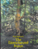 The Disenchanted Forest