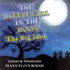 The Little Girl in the Moon the Big Idea 2