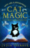 Love, Lies, and Hocus Pocus Cat Magic: a Lily Singer Adventures Novella (a Lily Singer Cozy Fantasy Adventure)