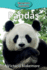 Pandas (7) (Elementary Explorers)