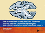 The Human Brain During the Third Trimester 225? to 235? Mm Crown-Rump Lengths: Atlas of Central Nervous System Development, Volume 11 (Atlas of Human Central Nervous System Development, 11)