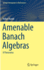 Amenable Banach Algebras (Springer Monographs in Mathematics)