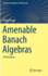 Amenable Banach Algebras