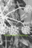 Nourish Move Rest: 4Week B&W Challenge